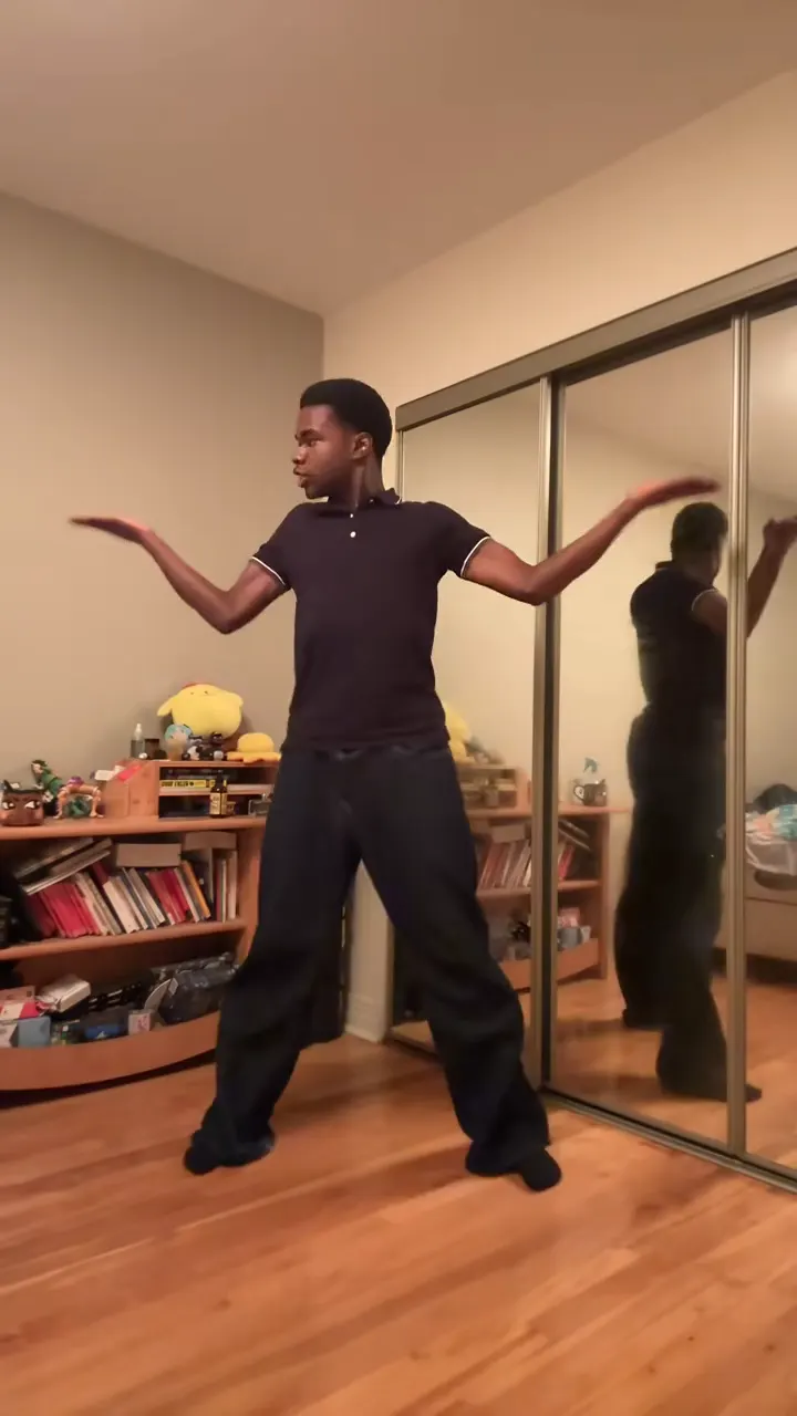 The original You're Under Arrest dance by @ferrehol on TikTok